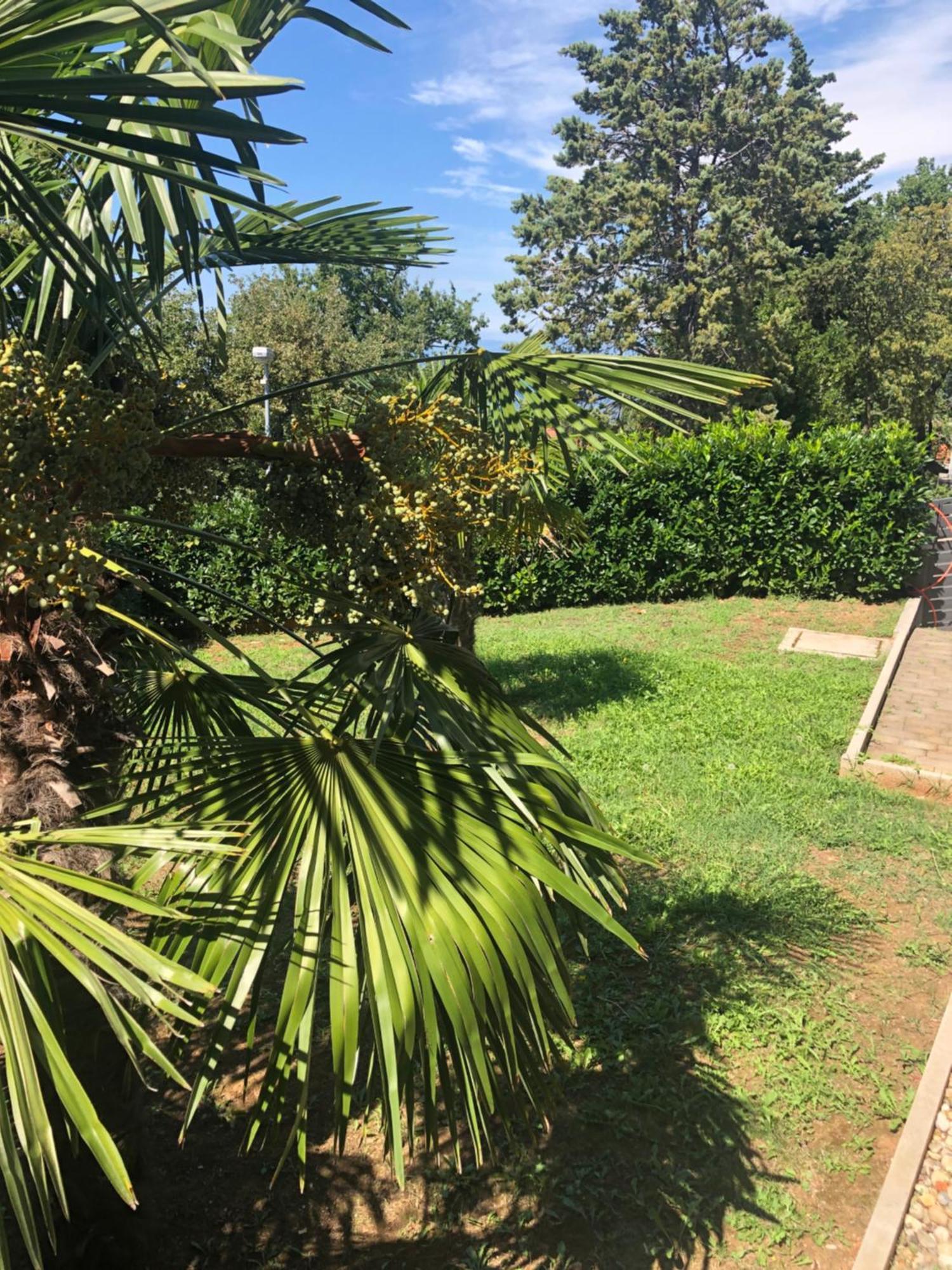 Villa Rudy Holiday Home Njivice Luaran gambar